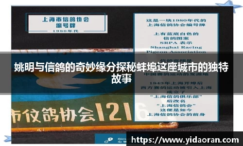 姚明与信鸽的奇妙缘分探秘蚌埠这座城市的独特故事